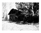 Homestead  Black & White