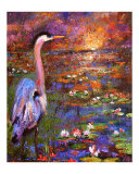 Okefenokee Sunset - Georgia Blue Heron