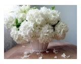 Full Bloom