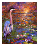 Okefenokee Sunset - Georgia Blue Heron