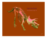 Triceretops Dionosaur