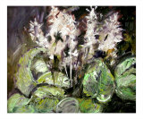 White Hostas Oil Painting Expressionist