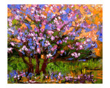 Spring Tree - Flowering