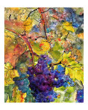 Wine Grapes from Italy