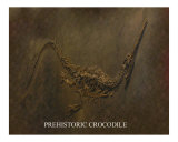 PREHISTORIC CROCODILE; From Age of Dinosaurs