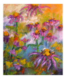 Purple Coneflower Healing Plants - Herbs