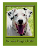 279W Laughs Lasts