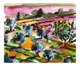 Olive Trees & Lavender In Provence