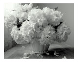 Springs snowballs!