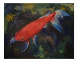Haiku Koi Fish