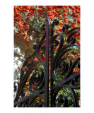 Charleston Gate & Flora