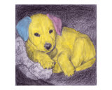 Bambino (pink  blue  yellow)