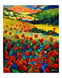Red poppies in Tuscany (Italy)