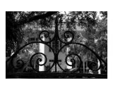 Hasell Street Gate 1  Charleston  SC