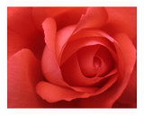 romance