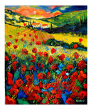 Red poppies in Tuscany (Italy)