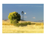 The Windmill