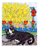 Tuxedo Cat In The Flower Garden