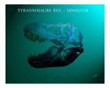 T REX  -  King of the Dinosaurs