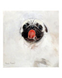 bulldog