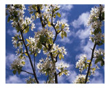 Springtime and a bright new day!!!