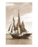 Tall Ship Canon Shot
