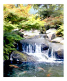 Garden Waterfall and Koi Pond