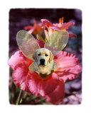 Fairy Dog Marius - Yellow Labrador Retriever