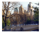 Pine Bank Arch  Central Park  NYC