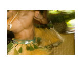 Male Hula in movement