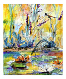Dragonfly Pond - Lilies & Grasses
