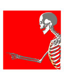 Bone 230