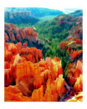 Hues of the Hoodoos in Bryce Canyon National Park