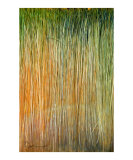 paint brush