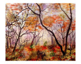 Forest Fog - Mystic Woods Painting