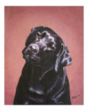 Black Labrador Girl Eponine