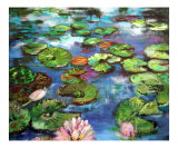 Lily Pond - Lotus Flower - Koi Pond