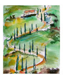 Winding Road Through Tuscany - Italy