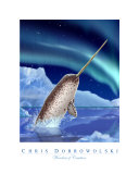 Wonders of Creation - Whale Series IV
