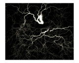 Lightning 61