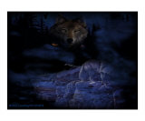 Night Wolf