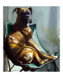 Boxer