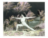 Yoga warrior