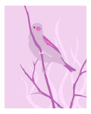 Violet Perch