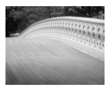 Bow Bridge Abstract  Central Park New York