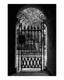 College of Charleston Gate View