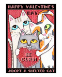 Valentine's Day Shelter Cats