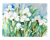 White Irises