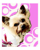 Pop Art Pink Yorkie
