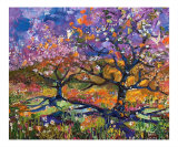 Spring In Provence - Trees in Bloom